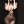 nargisalikhan997
