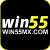 w55inmxcom