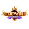 topvinboats