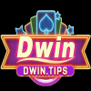 dwintips