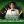 ceodanieltruong