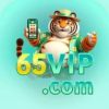 65vipnetbr