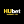 hubestco hubestco
