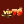vip79lcom